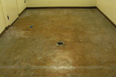 Sealed In Red Mud Before